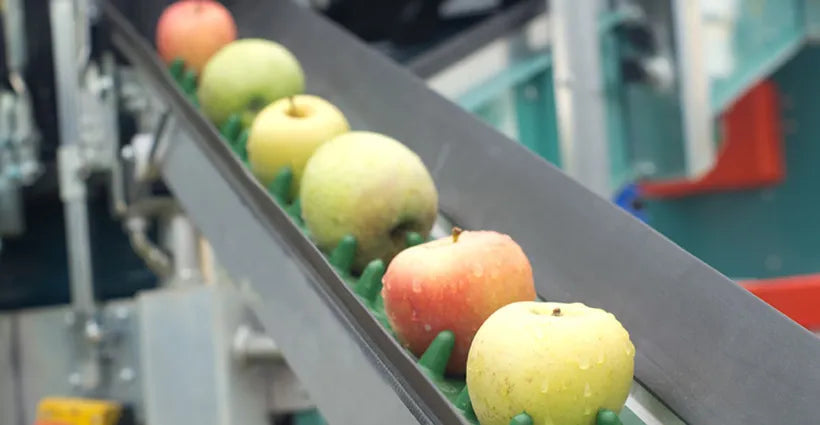 SERVICIO CAPACITACION CURSOS Y EXAMENES DE MANPIULACION DE ALIMENTOS BPM BUENAS PRACTICAS DE MANUFACTURA